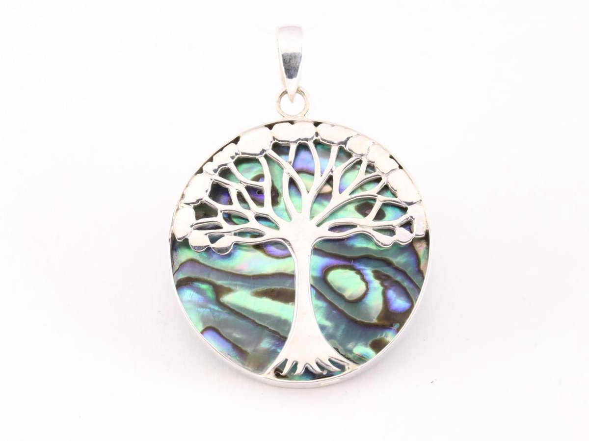 Ronde zilveren hanger met levensboom op abalone schelp