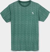 Tiffosi T-shirt groen maat 152