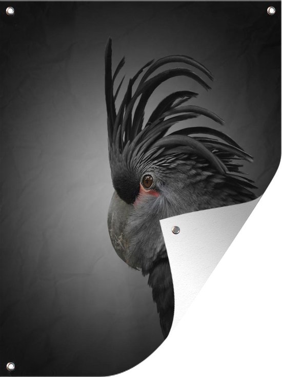 Tuinposter – Close-up van een kaketoe met zwarte en grijze veren – 120×160 cm – XXL
