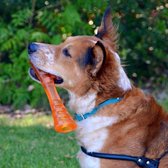 Zeer Sterke  Stok om op te Kauwen voor Honden