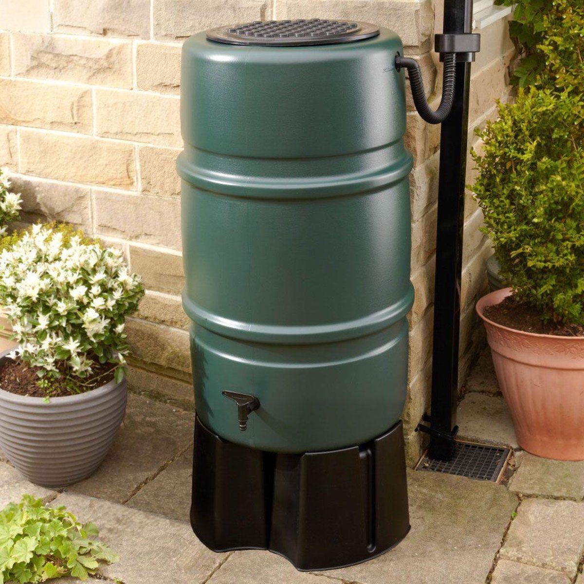 Harcostar Set luxe 227 liter - Vert - collecteur, socle, robinet, couvercle