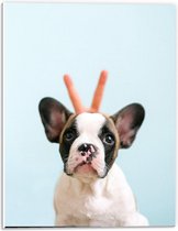 Forex - Schattig Hondje met Konijnen Oortjes - 30x40cm Foto op Forex