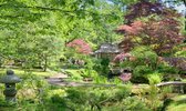 fotobehang Japanse Tuin