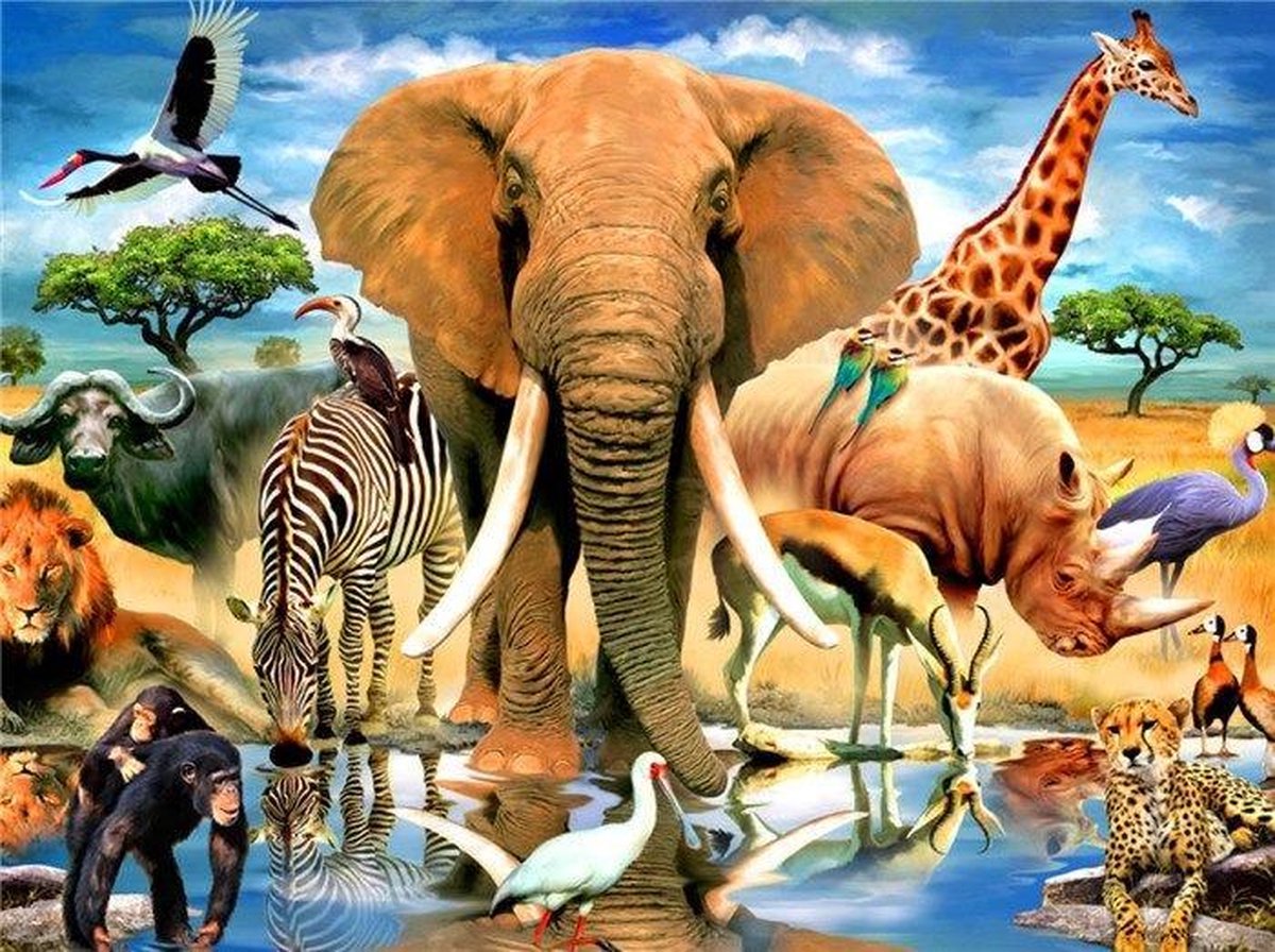 Diamond Painting Dierentuin - Volledige dekking - Vierkante steentjes - Hobbypakket - 70x50cm