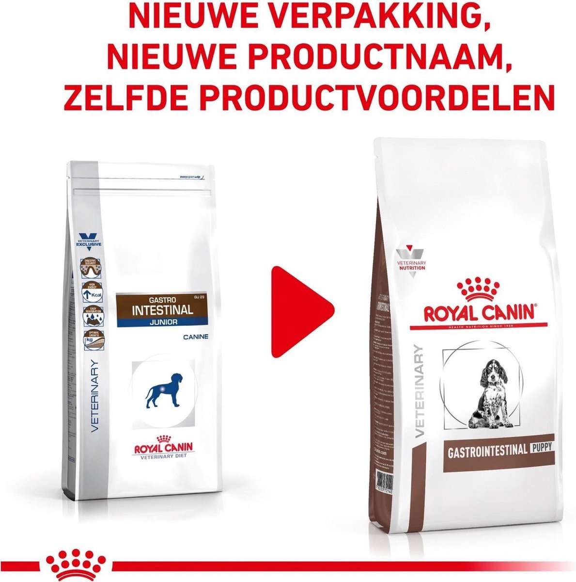 gastro intestinal junior 10 kg