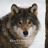 Wolves 8.5 X 8.5 Calendar September 2021 -December 2022: Monthly Calendar with U.S./UK/ Canadian/Christian/Jewish/Muslim Holidays-Wolf Animal Nature