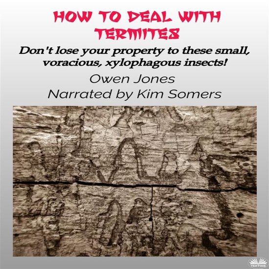 How To Deal With Termites - cover
