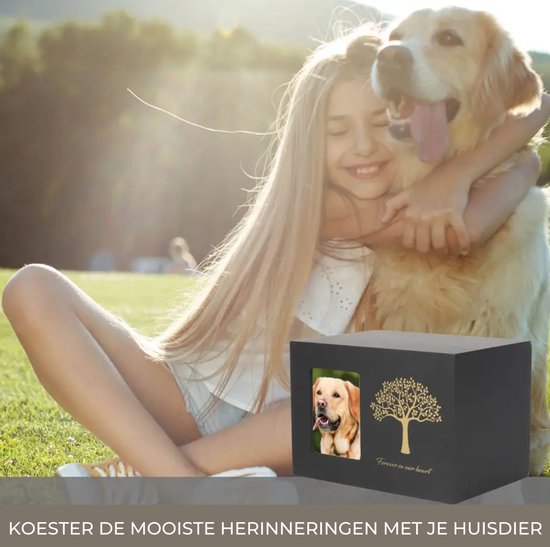 50 - 100 EUR - Gedenktekens & Graf Hond / Benodigdheden Voor Honden