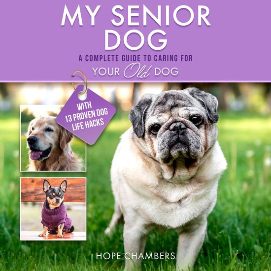 My Senior Dog - cover