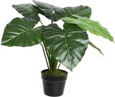 Groene Colocasia/taro kunstplant 52 cm in zwarte pot - Kunstplanten/nepplanten - Kantoorplanten