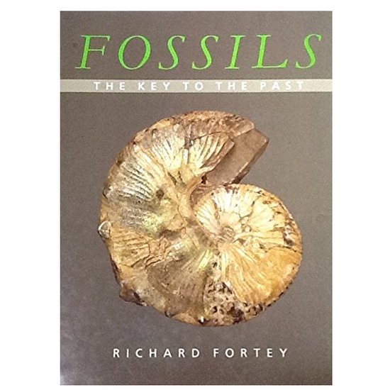Fossils - cover