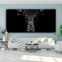 Toile noir et blanc d'une tête de taureau sur fond noir. Le taureau regarde droit devant.