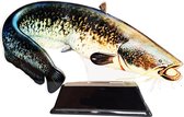 Vistrofee Real Fish Meerval 20 cm Prijs Trofee Meervalwedstrijd Viswedstrijd Vis Visprijs Visprijzen