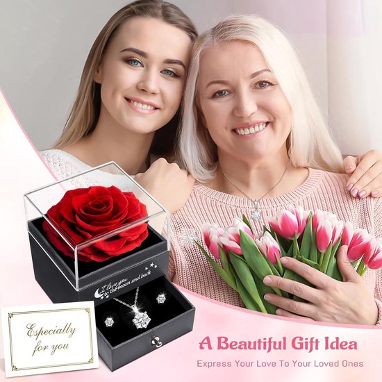 Rode echte roos met I Love You ketting Rozencadeaus Moeder Vrouw Vriendin Haar Op Jubileum Valentijnsdag Moederdag Kerstmis Verjaardagscadeaus kopen vanaf een prijs van 18