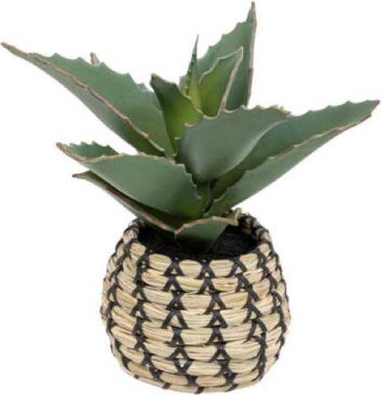 Groene kunstplant met stekelige bladeren in een beige mandje met zwart patroon.