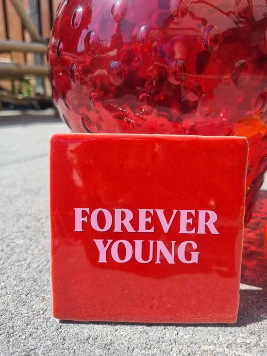 Het Inpakhuis - Tegeltje - Forever Young - Rood/Roze