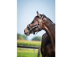 HB Halsters leopard Furr Luipaard - Cob