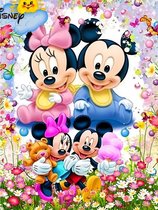 Diamond painting Disney Mickey en Minnie Mouse 50x70 ronde steentjes
