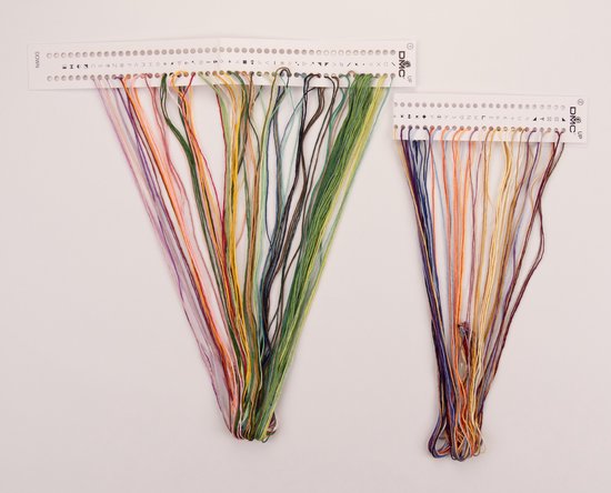 Deux supports avec des fils à broder DMC présortés de différentes couleurs.