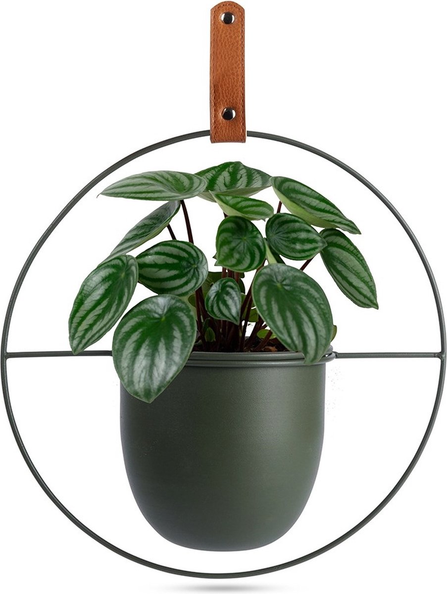 Hangpot Metaal Groen 30x30 cm - Hangende Plantenmand - Bloempot - Plantenhanger - Plantenstandaard - Plantenmand - voor Planten - Hangplant Houder