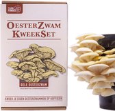 Oesterzwam Starterset – Gele oesterzwam - Maak je eigen growkit - Kweek paddestoelen op je eigen koffiedik - Duurzaam - Kado
