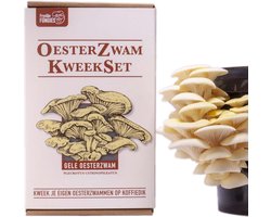 Oesterzwam Starterset – Gele oesterzwam - Maak je eigen growkit - Kweek paddestoelen op je eigen koffiedik - Duurzaam - Kado