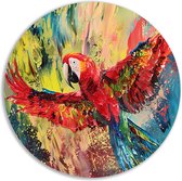 Panneau mural perroquet - Décoration murale Animaux ronde - Échelles murales Couleurs - Décoration murale moderne - Tableau - Accessoires de bureau cercle mural aluminium 70x70 cm