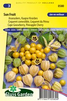 Sluis Garden - Ananaskers (Physalis peruviana)
