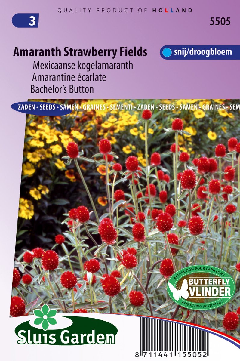 Sluis Garden - Kogelamaranth Strawberry fields (Gomphrena)