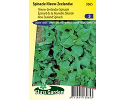 Sluis Garden - Spinazie Nieuw Zeelandse