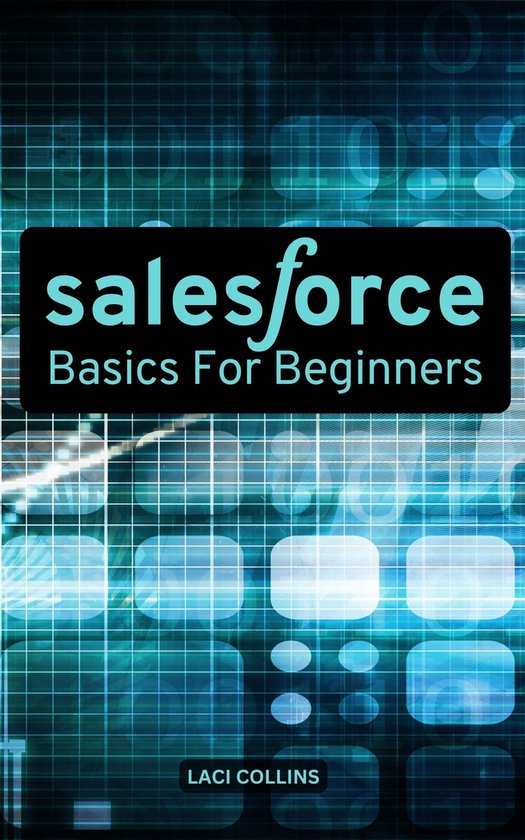 Salesforce Basics For Beginners (ebook), Laci Collins | 1230006435189 ...
