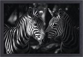 Zebra portret - Dieren wanddecoratie - Canvas schilderijen Bos - Schilderijen op canvas industrieel - Canvas met baklijst schilderijen woonkamer - Slaapkamer muurdecoratie canvas met baklijst 70x50 cm
