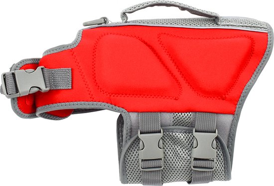 Rood met grijze hondenzwemvest met gespen.