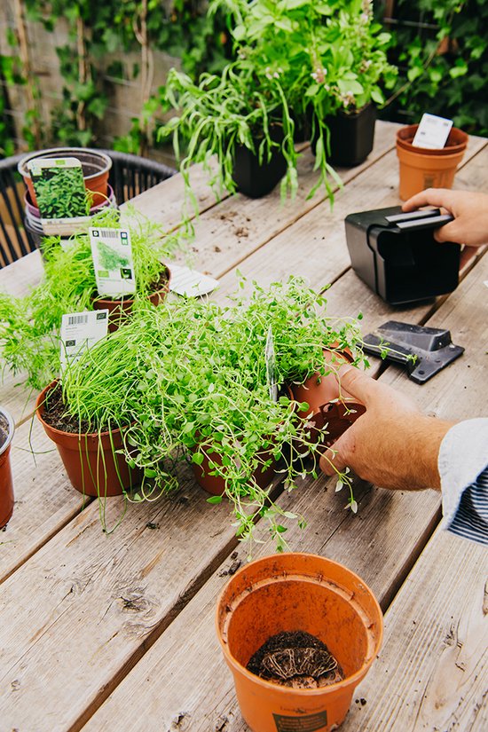Mon Jardin Vertical - Pour l'extérieur - Pack de démarrage complet (Medium) 60cm x 60cm - 16 Bacs - Jardinière murale - Mur végétal - Mur végétal - Potager - Jardinière balcon - Mur végétal