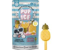 Pup Ice Hondenijsje Fruit Lollie Ananas