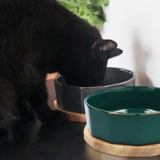 Voerbak 15.5 cm (incl afbeelding en naam naar wens) | Voerbakken | Dierenspeciaalzaak van Zuilen Texel Voerbak 15.5 cm (incl afbeelding en naam naar wens) | Voerbakken | Dierenspeciaalzaak van Zuilen Texel