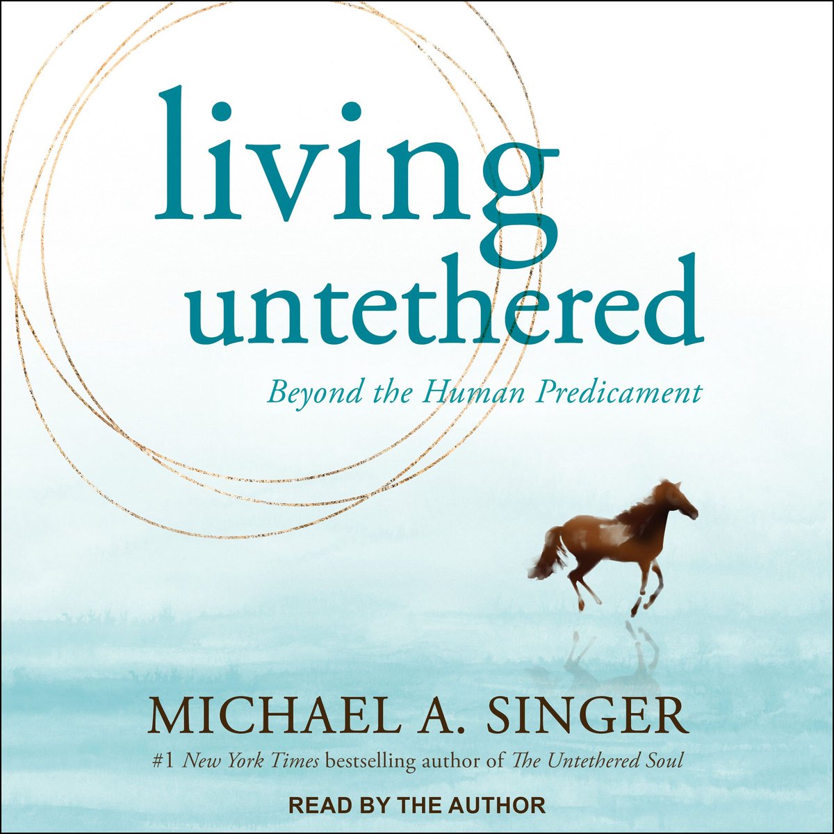 Omslag van Living Untethered