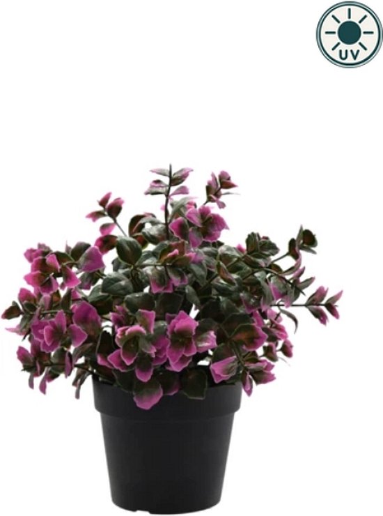 Kunstplant Eucalyptus paars in pot 22cm UV - voor binnen en buiten