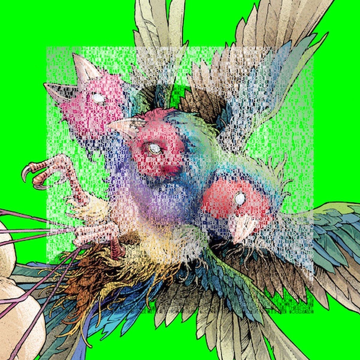 Gouldian Finch - Hatch (CD)