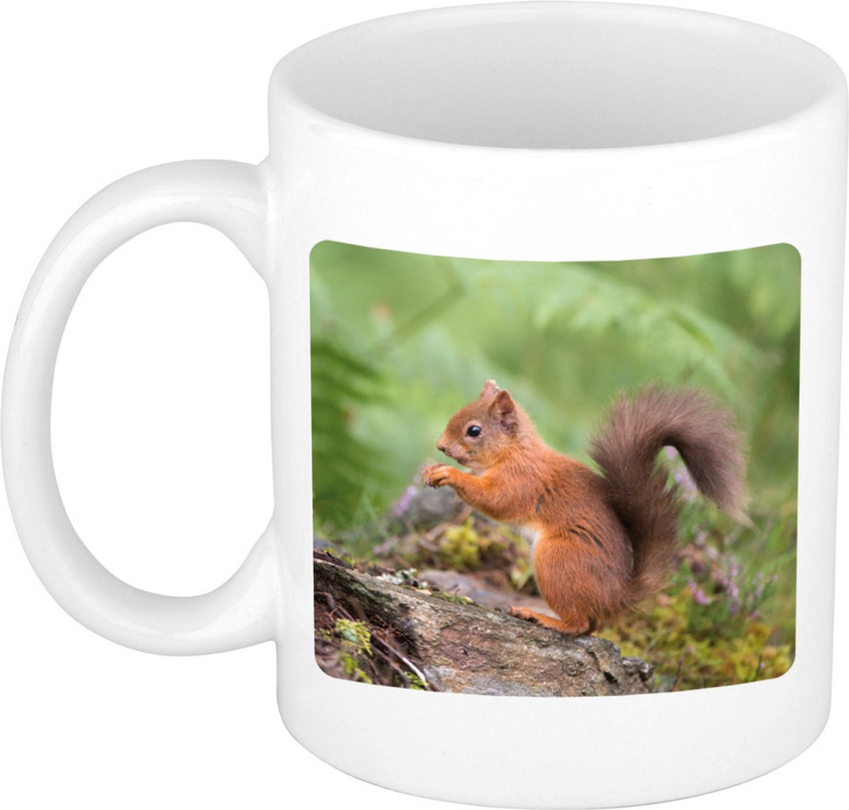 Dieren eekhoorntje foto mok 300 ml - cadeau beker / mok eekhoorntjes liefhebber