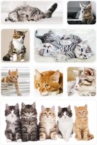24x autocollants animaux chat / chat / chaton - autocollants enfants - feuilles d'autocollants - fournitures d'artisanat