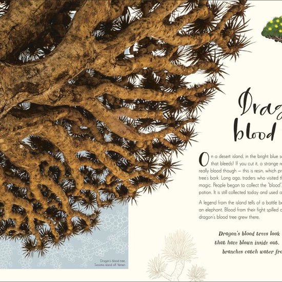 The Wonders of Nature