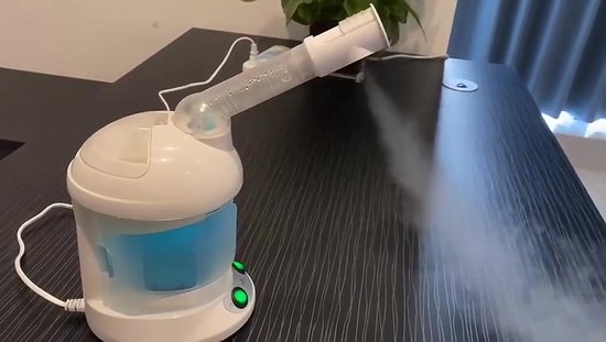 Mini Cuiseur Vapeur Facial Ozone Professionnel - Sauna Visage Nettoyage Profond Salon Spa