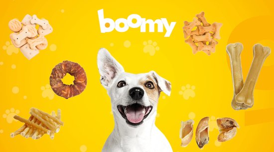 Vrolijke Jack Russell omringd door verschillende hondensnacks, waaronder botjes en koekjes.