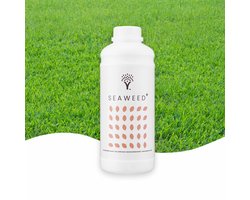 MOOWY Seaweed+ Gazonmest - voor 400m² - Bij Hitte en Droogte - 100% natuurlijk zeewierextract