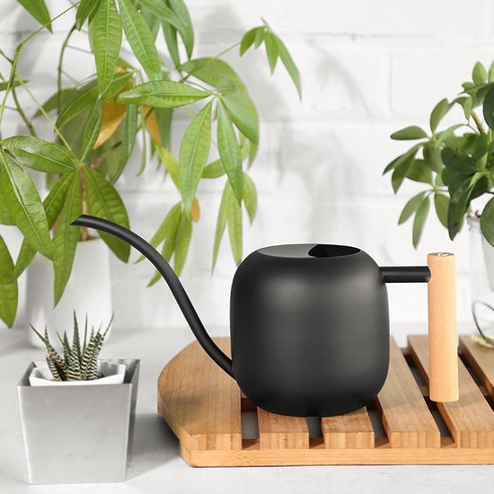 Gieter voor kamerplanten, 1 l, gieter voor kamerplanten, lange uitloop, roestvrijstalen gieter met stabiel houten handvat, lekvrij, voor kamerplanten buiten, tuin, bloemen (zwart