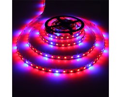 Grow light led strip - Rood/Blauw - 5:1 - 5 meter