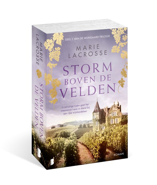 Wijngaard 1 - Storm boven de velden