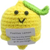 Positieve Potato, Mini Schattige Positieve Aardappel met Glazen Aanmoedigen Gift Hand Gebreide Grappige Aardappel holding kaart voor Vrienden