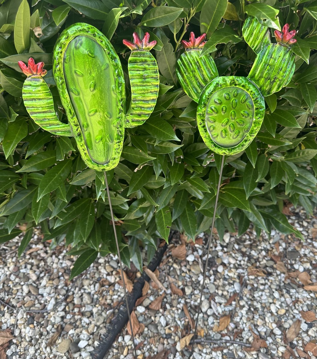 Impuls Metalen deco tuinstekers Cactus Set van 2 stuks meerkleurig + glas hoogte 62 x 15 x 1 cm Tuinaccessoires Tuindecoratie – Tuinstekers